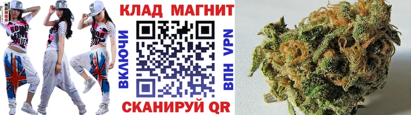 Виды наркотиков купить Долгопрудный Гашиш  Кокаин  MEGA ТОР  Псилоцибиновые грибы  Мефедрон  Амфетамин 