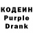 Amphetamine Premium Garry Kaler